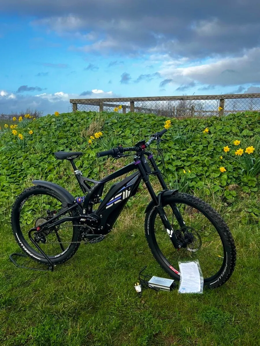 Electric Downhill Bike - Image 1