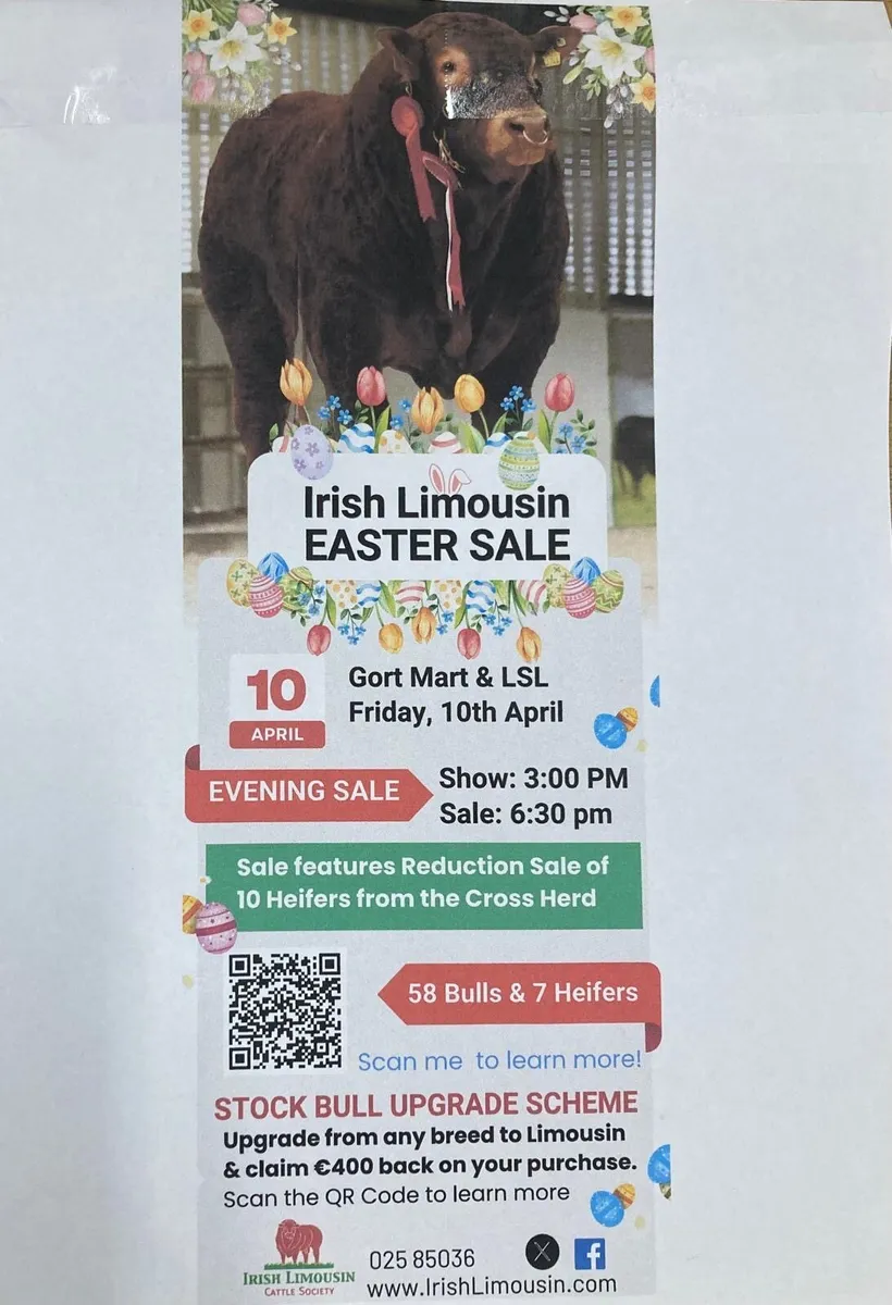 Gort Mart: 9th April & 10th April - Image 2