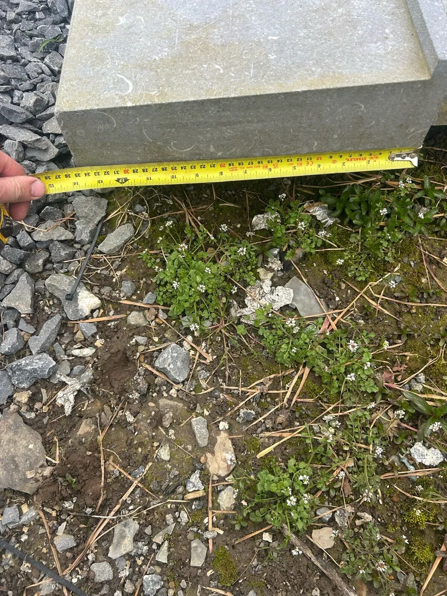 Limestone sills - Image 3