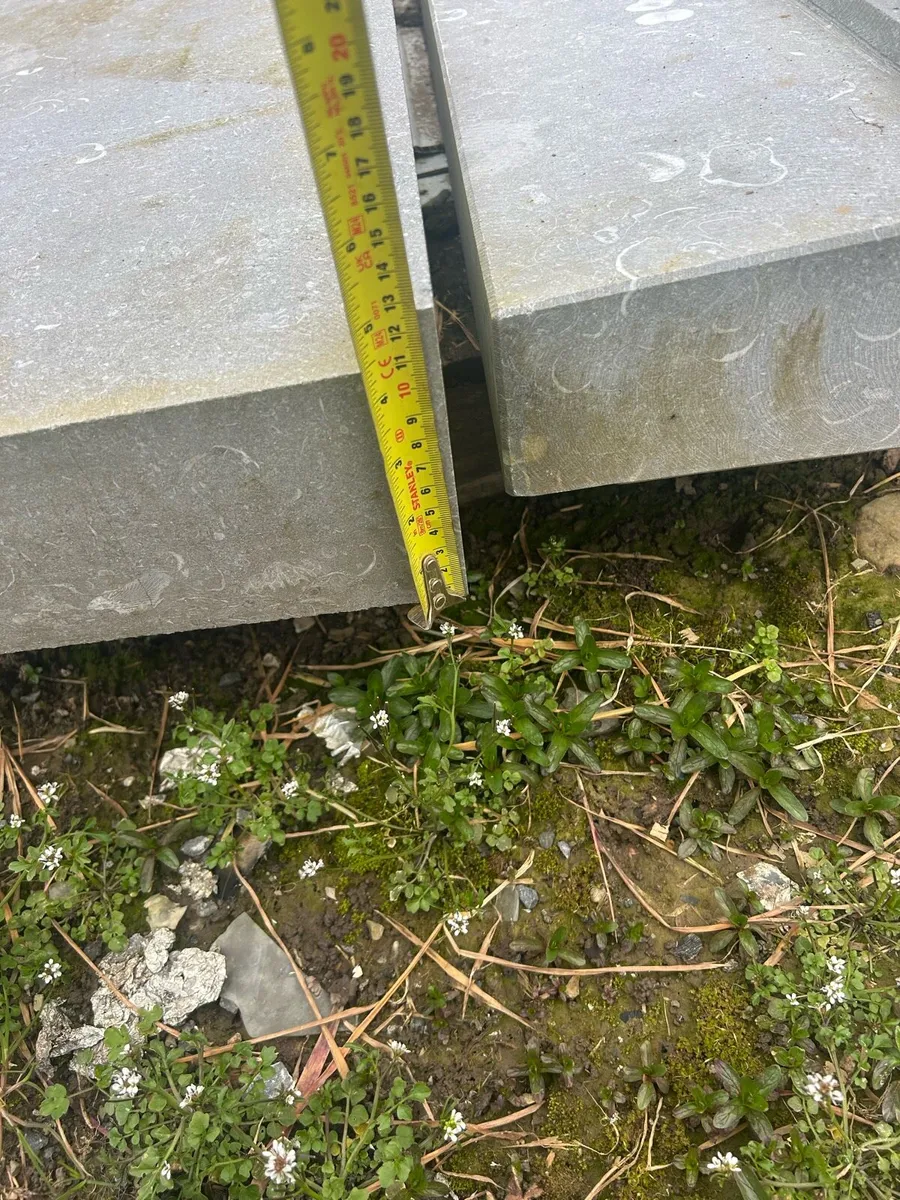 Limestone sills - Image 4