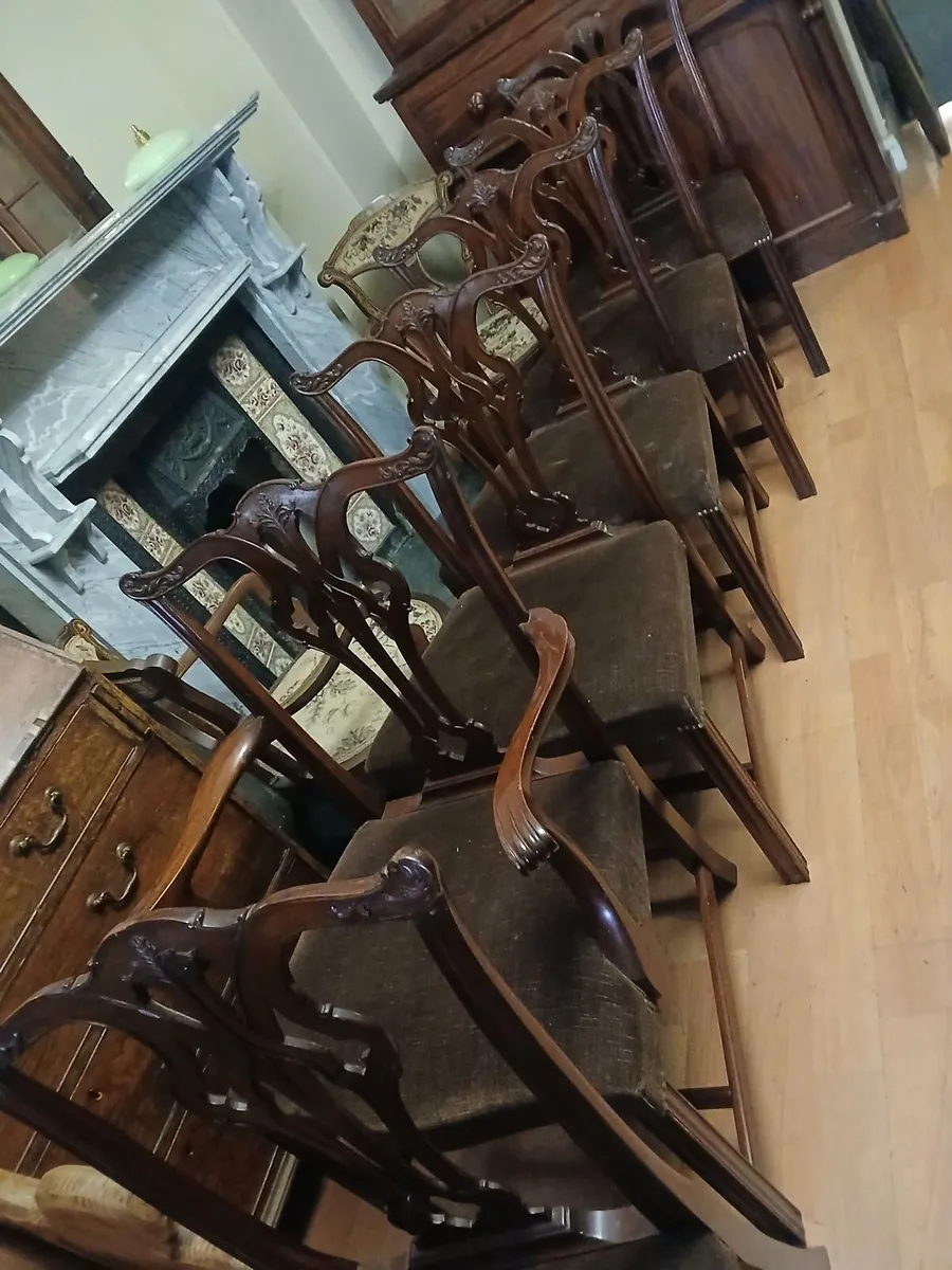 antique  chairs 10  include 2  carvers - Image 1