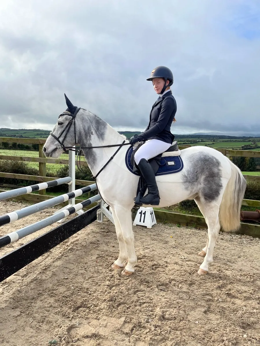 138cm gelding - Image 1