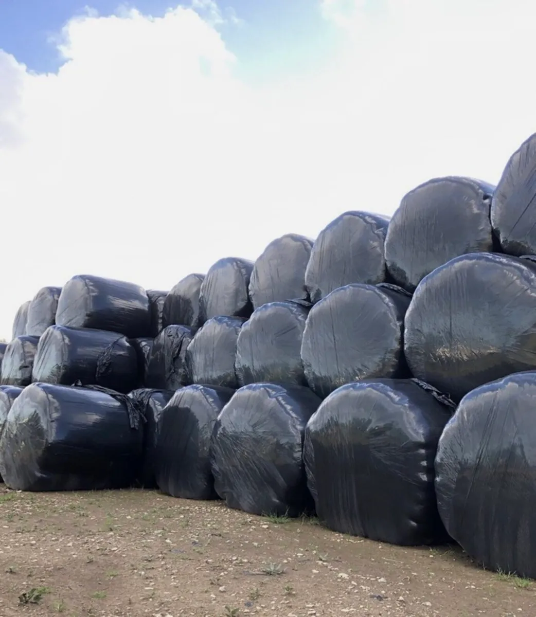 100 Round bales
