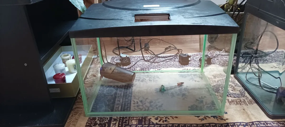 Fish Tank - Image 2