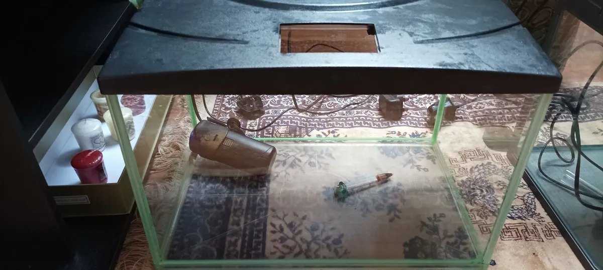 Fish Tank - Image 1
