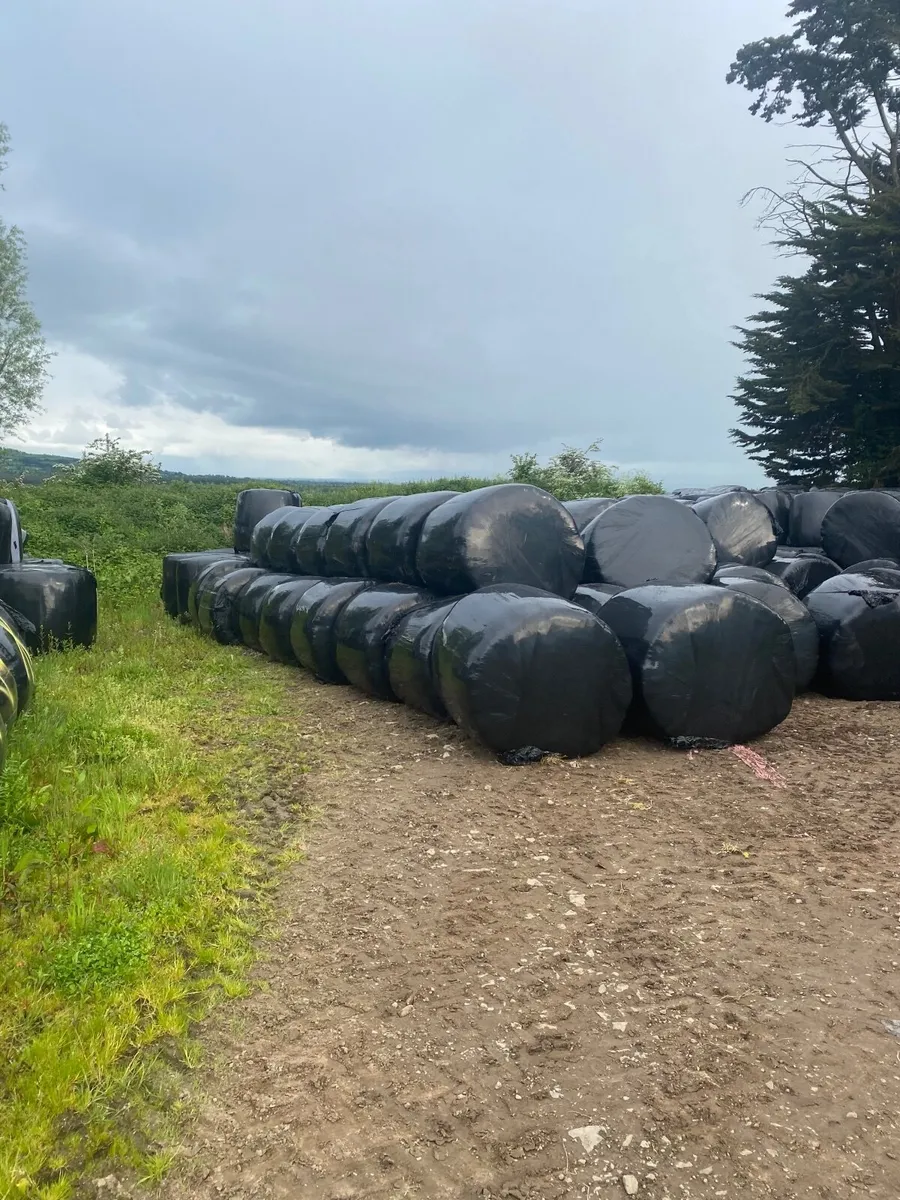 Silage Bales