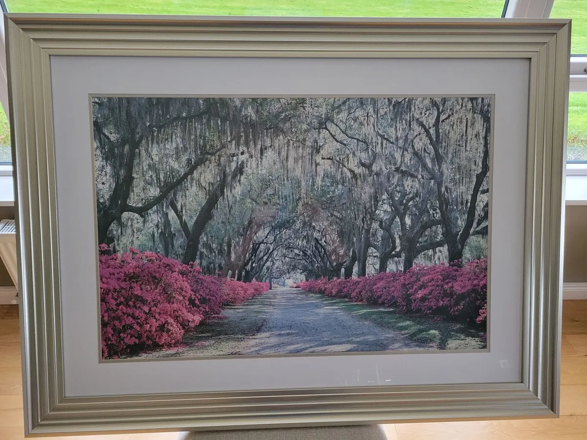 Picture in excellent condition.