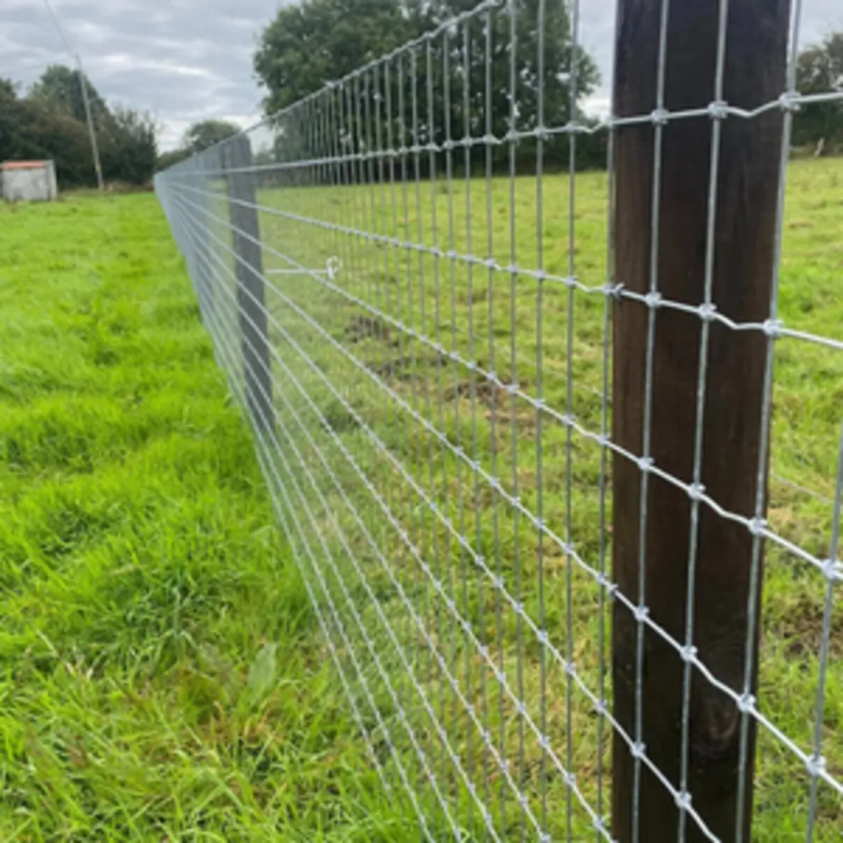 DURA² Pressure Treated Posts - Image 4