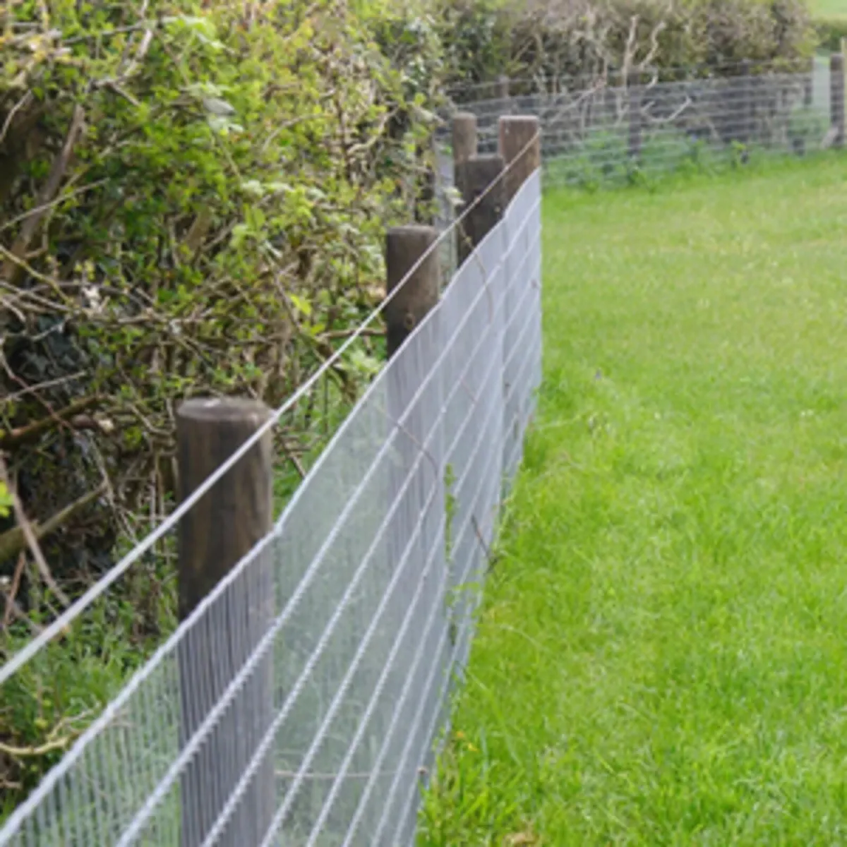 DURA² Pressure Treated Posts - Image 1