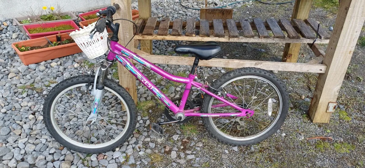 Girls bicycles - Image 2