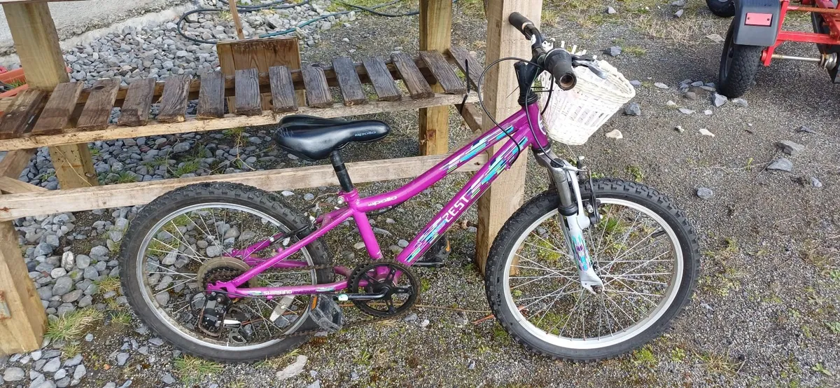 Girls bicycles - Image 4