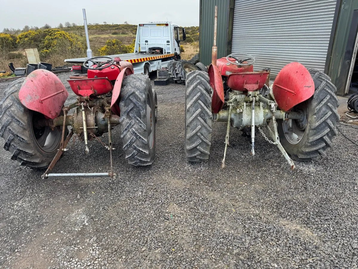 Massey 35 3 cylinder - Image 4