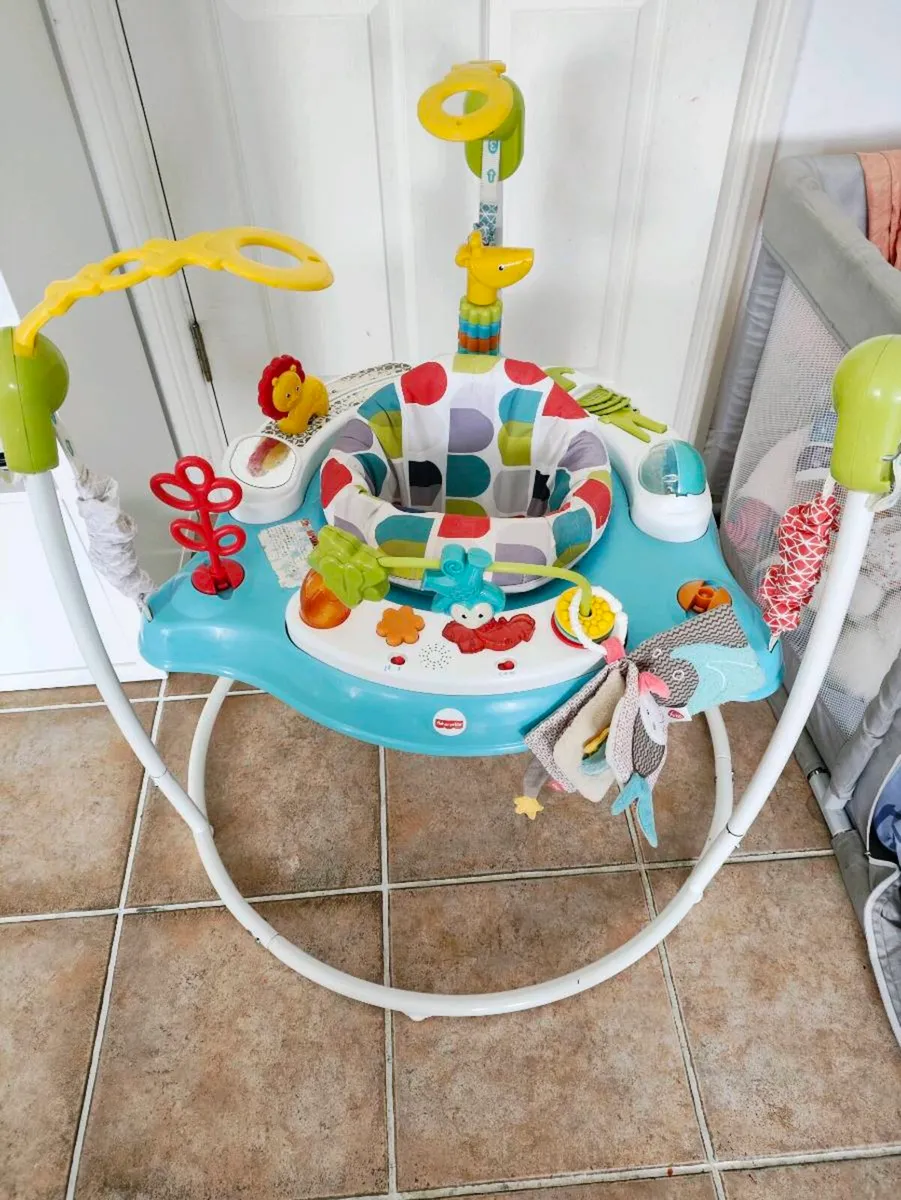 Baby Jumperoo - Image 1
