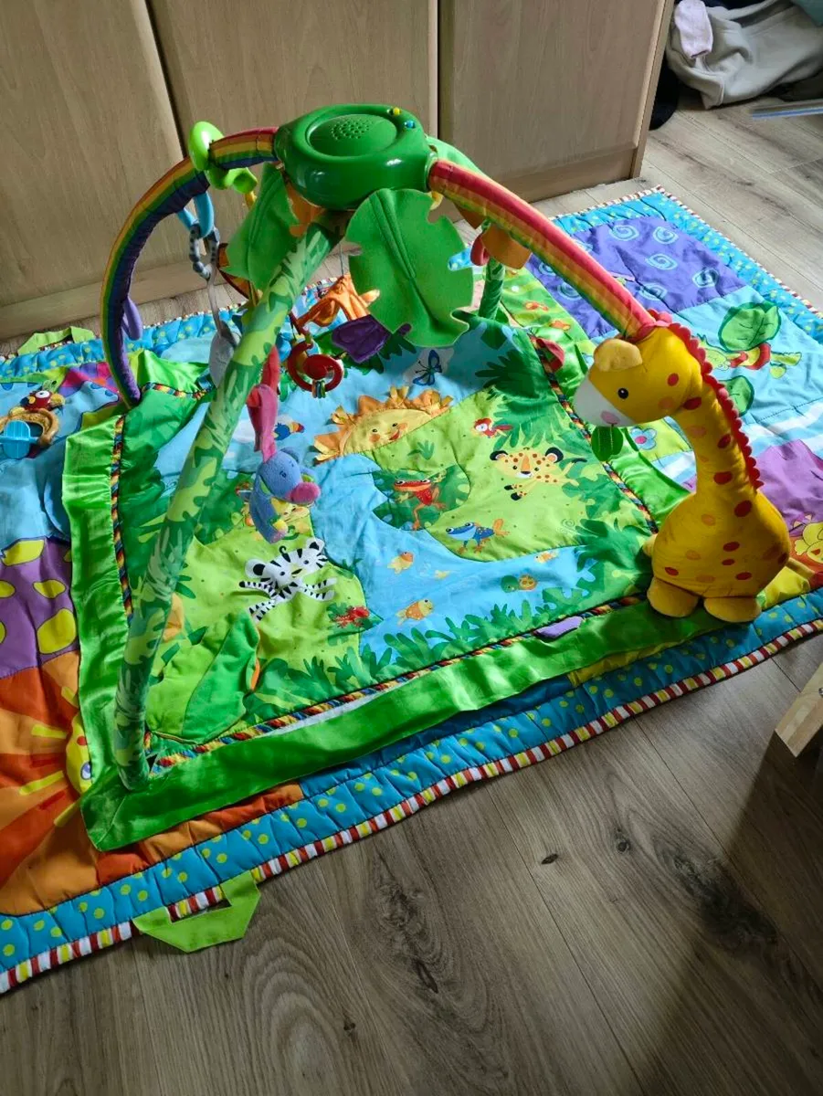 Baby Play Gym - Image 1