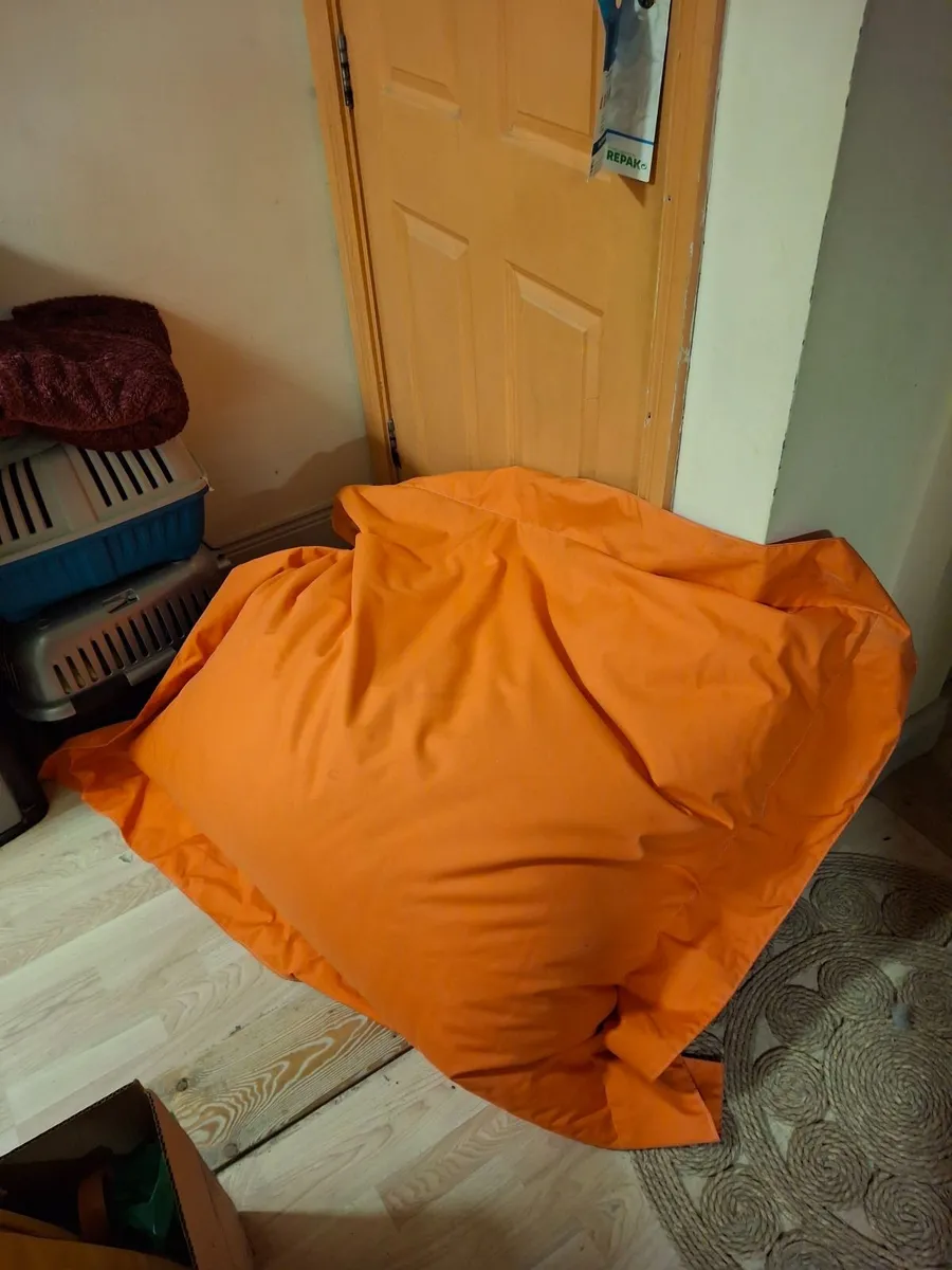 FREE beanbag - Image 1