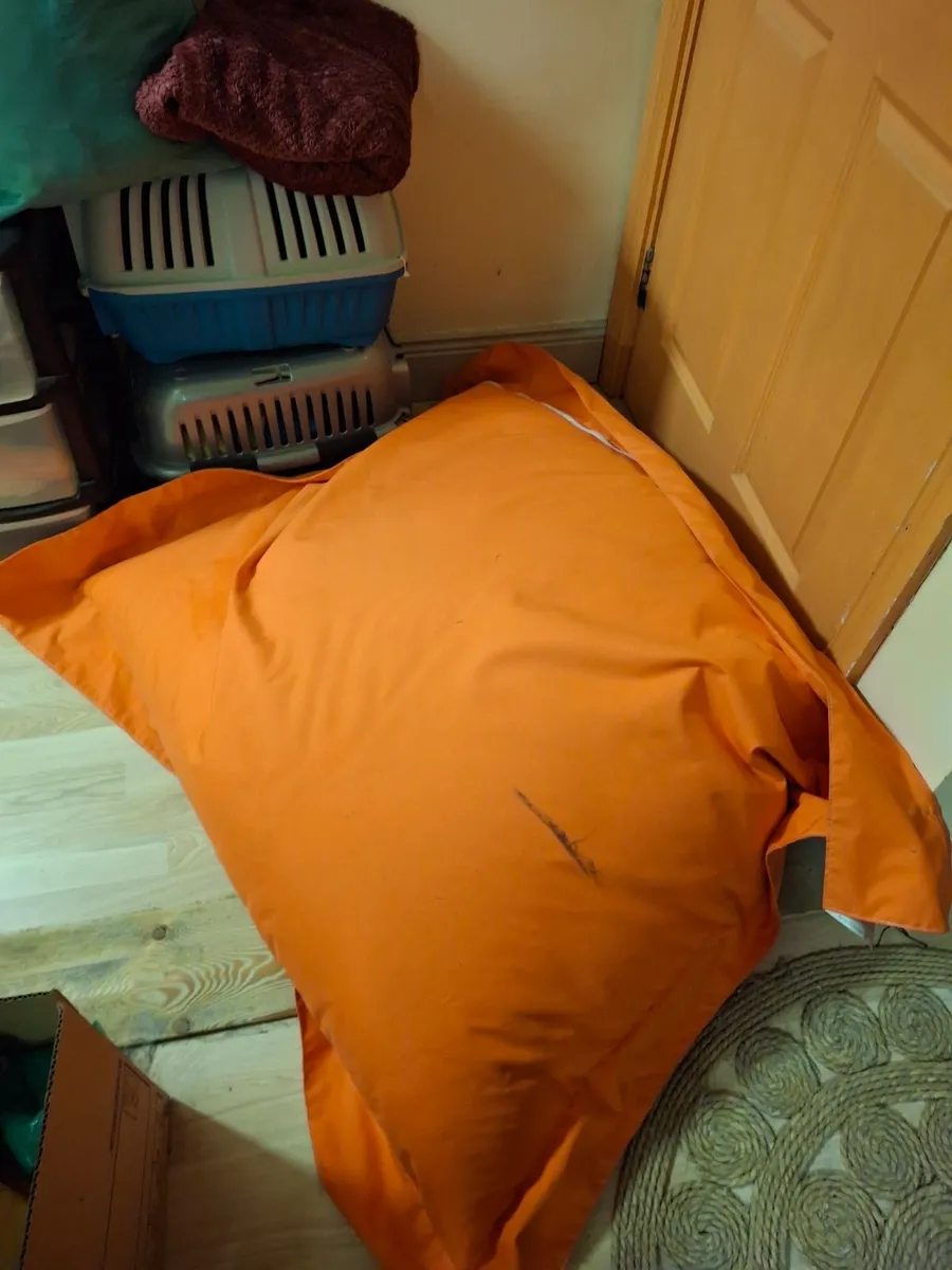 FREE beanbag - Image 2