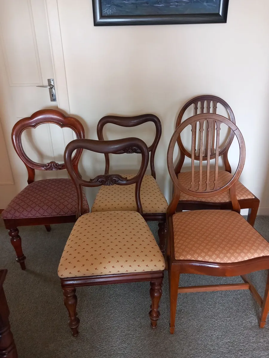 5 dining chairs - Image 1