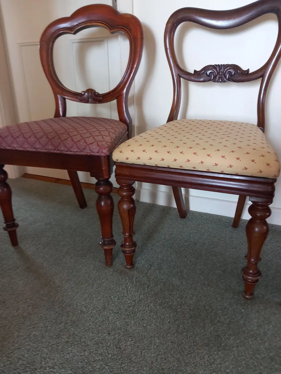 5 dining chairs - Image 2