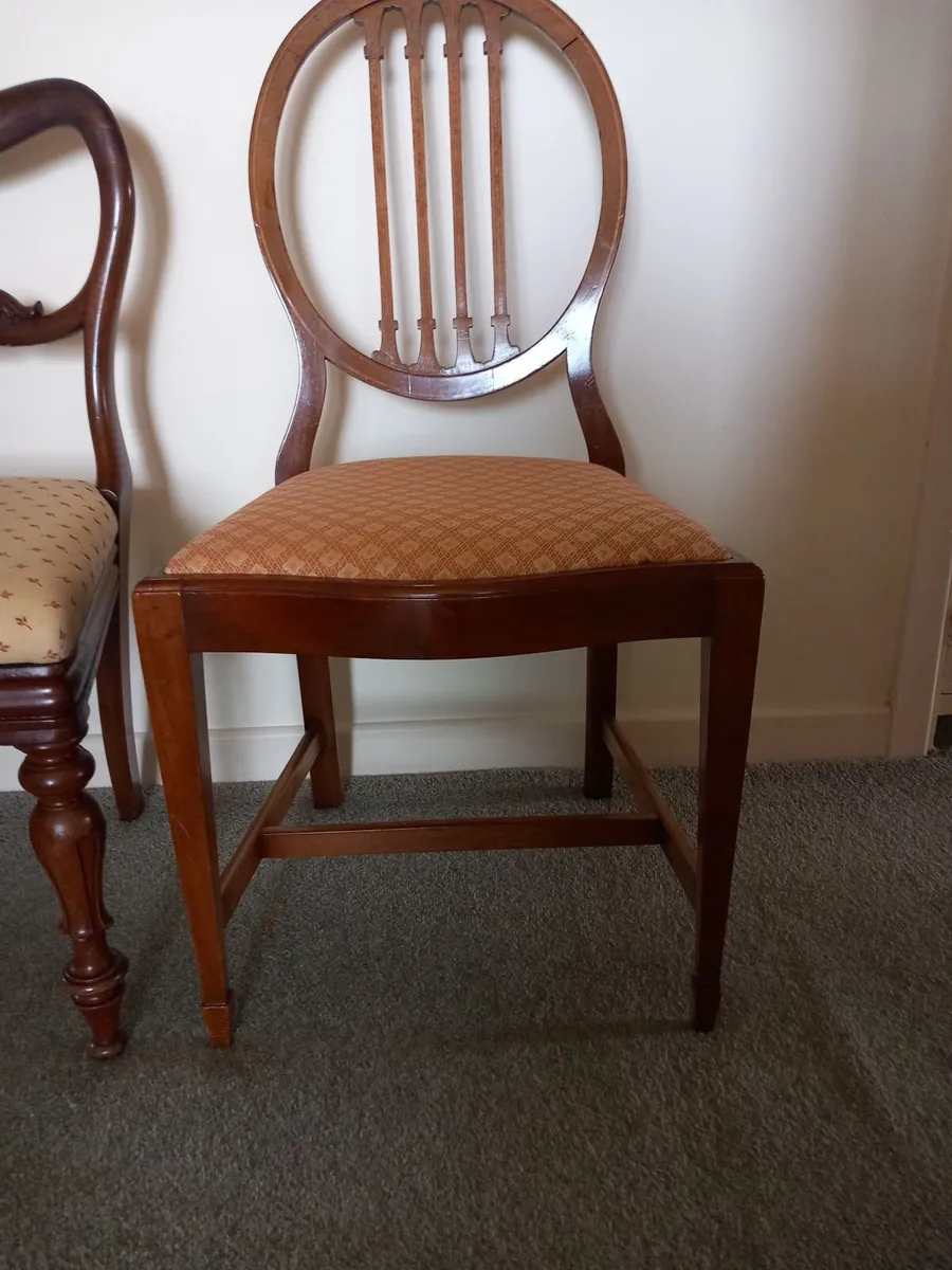 5 dining chairs - Image 3