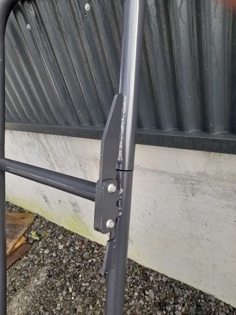 Roll over Guards. - Image 3