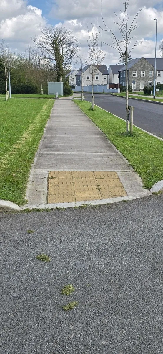 Hyundai Pro Lawn - Image 4