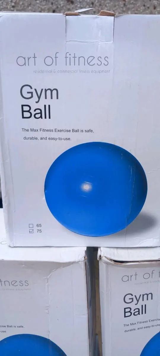 Blue Gym Balls (75cm) x 3 - Image 1