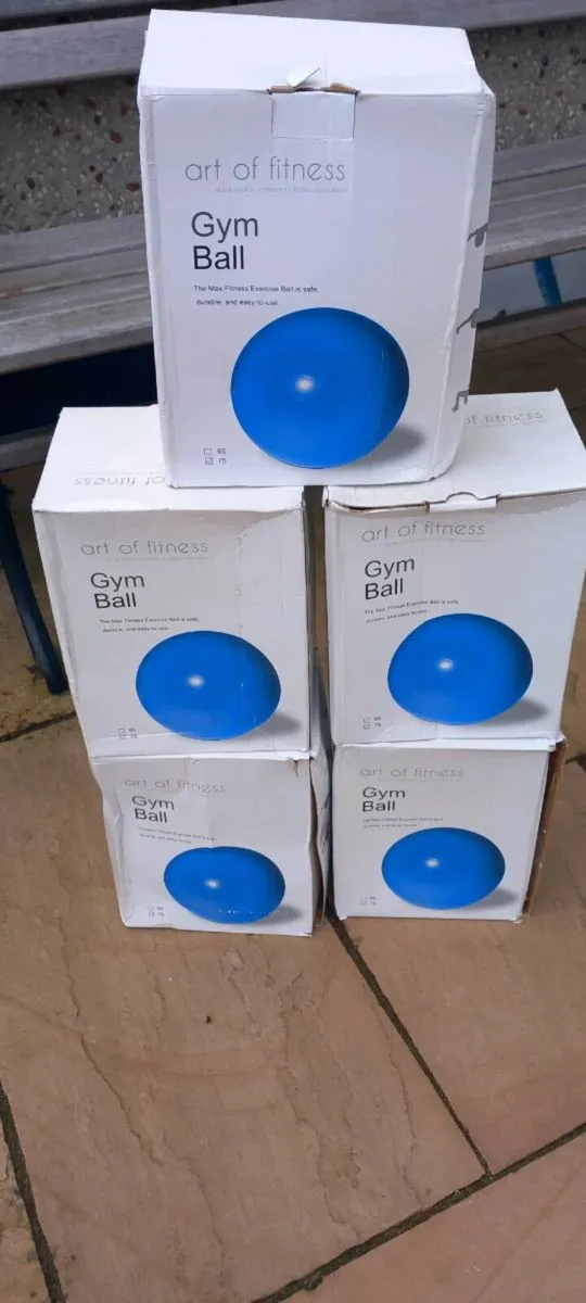 Blue Gym Balls (75cm) x 3 - Image 2