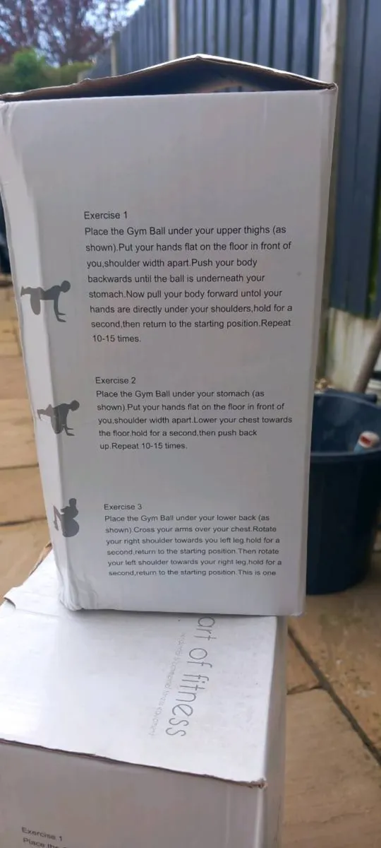 Blue Gym Balls (75cm) x 3 - Image 3