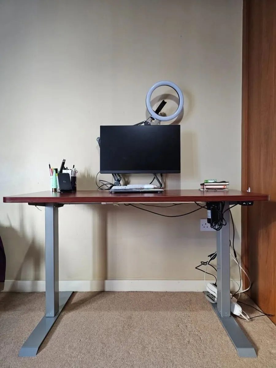 Electric Standing Desk Flexispot EC1 - Image 1