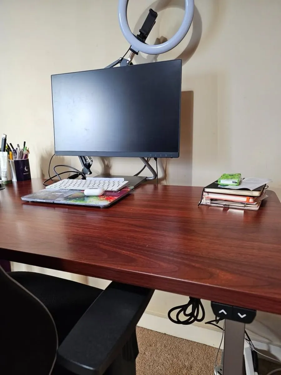 Electric Standing Desk Flexispot EC1 - Image 2