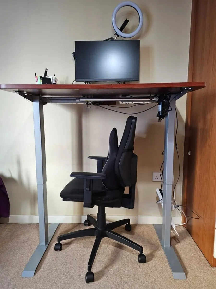 Electric Standing Desk Flexispot EC1 - Image 4