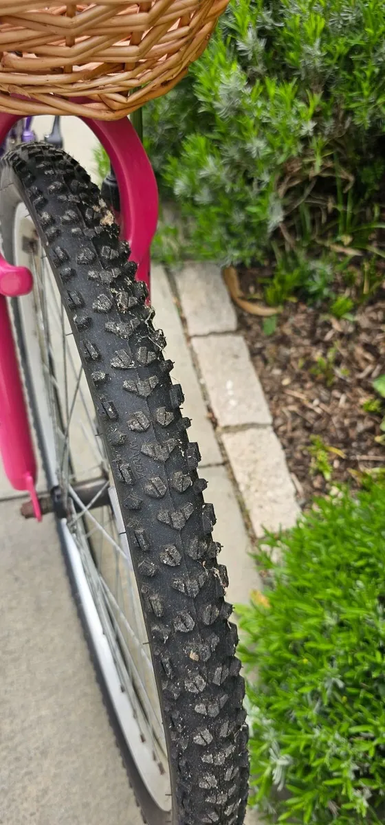 Girls bike - Image 1