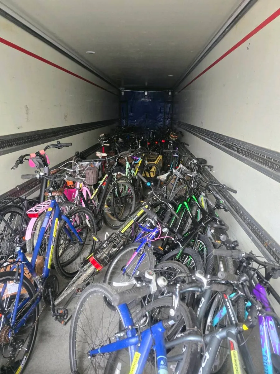 Job lot of bikes. Ex rental. - Image 1