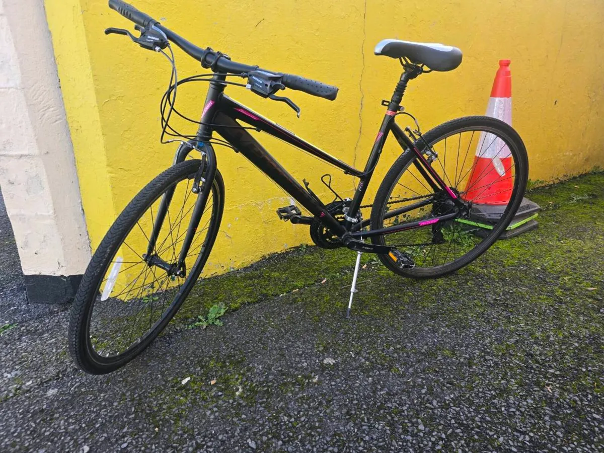 Job lot of bikes. Ex rental. - Image 3