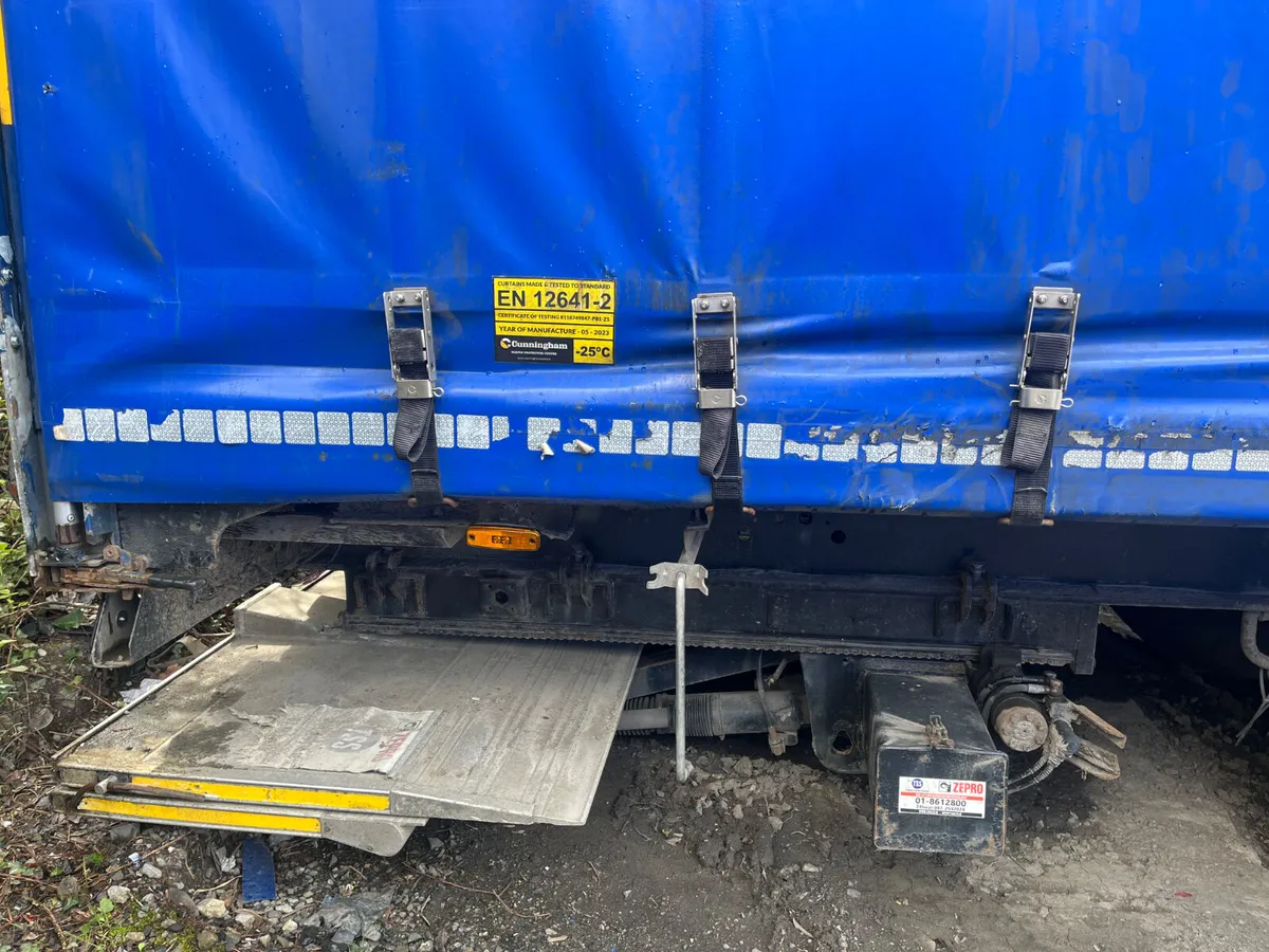 curtiansider - Image 2