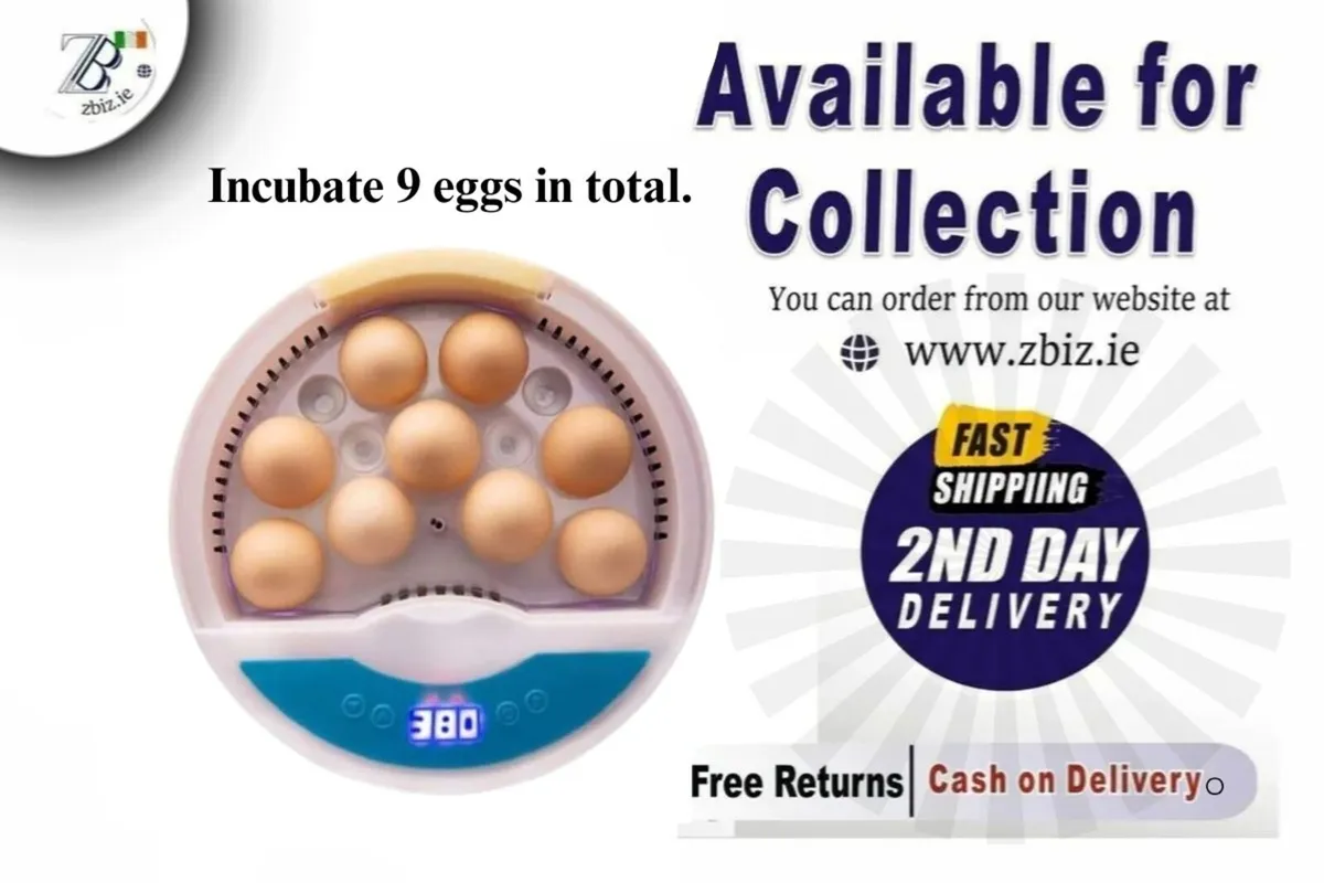 9 Eggs + 4  Birds Automatic Egg Incubator - Image 1