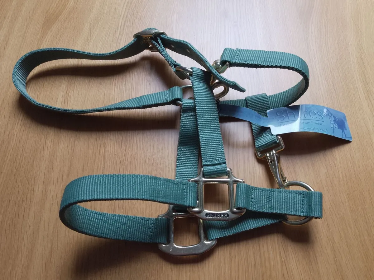 Headcollar - Image 1