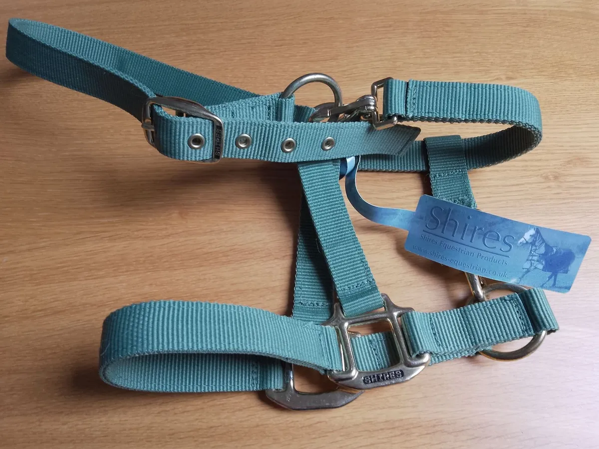 Headcollar - Image 2