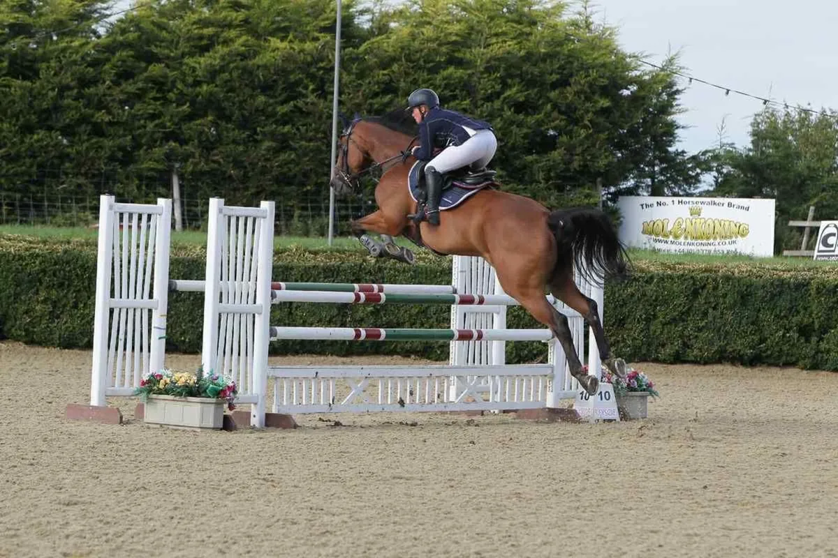 Showjumper - Image 1