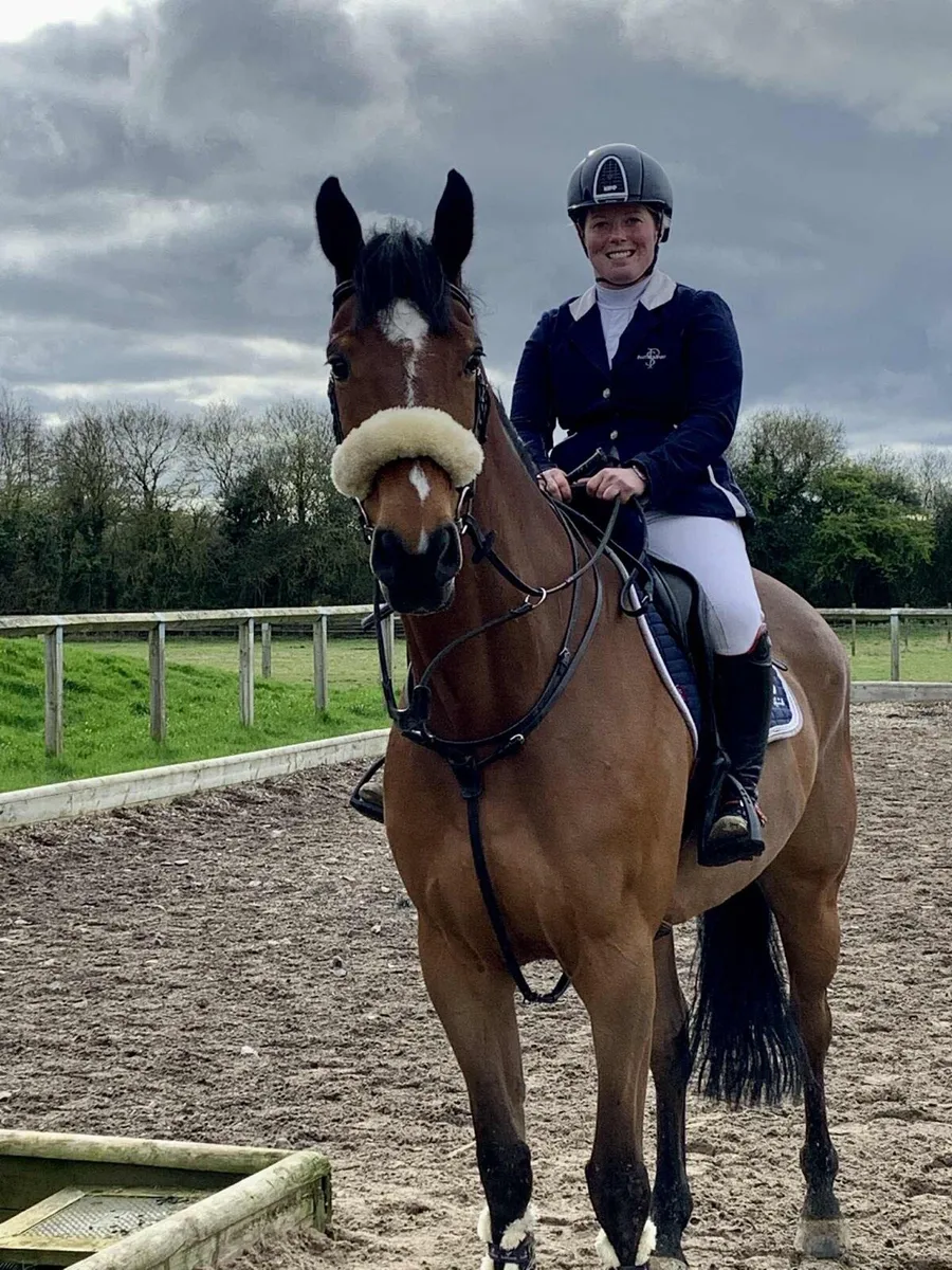 Showjumper - Image 2