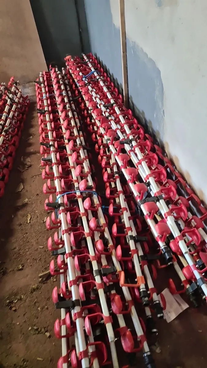 Poultry drinkers - Image 1