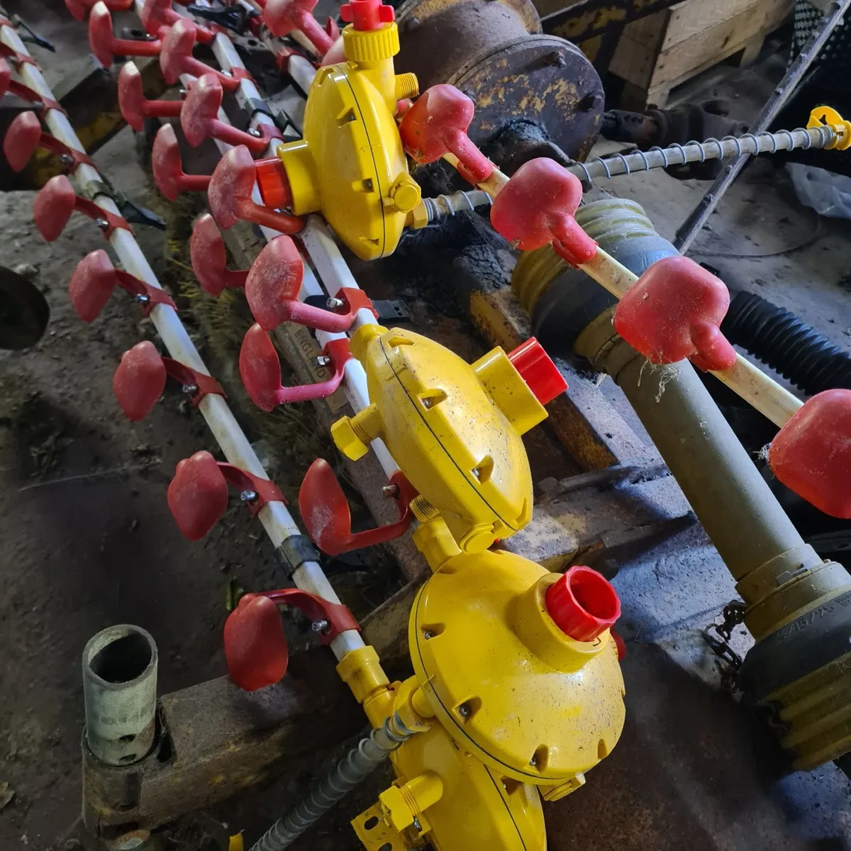 Poultry drinkers - Image 3