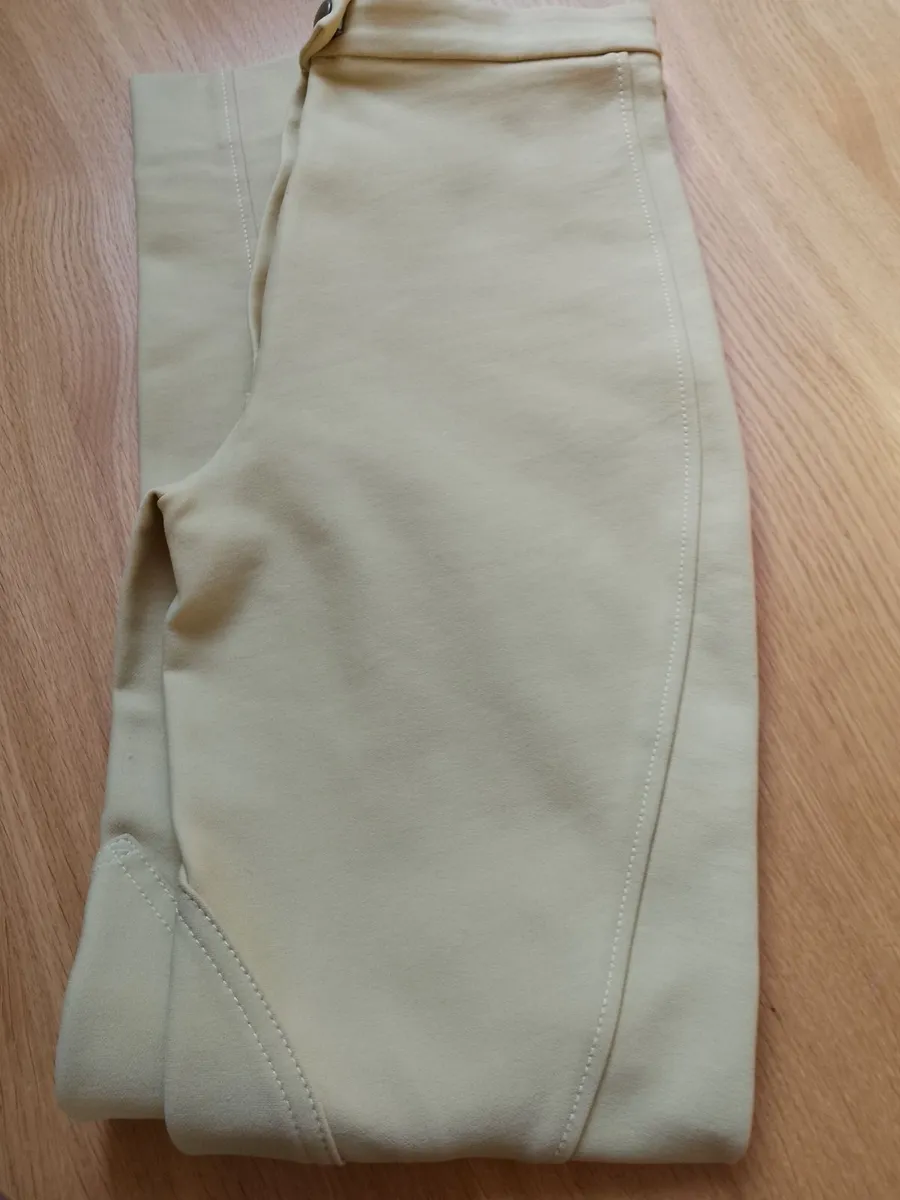 Ladies Jodhpurs - Image 2