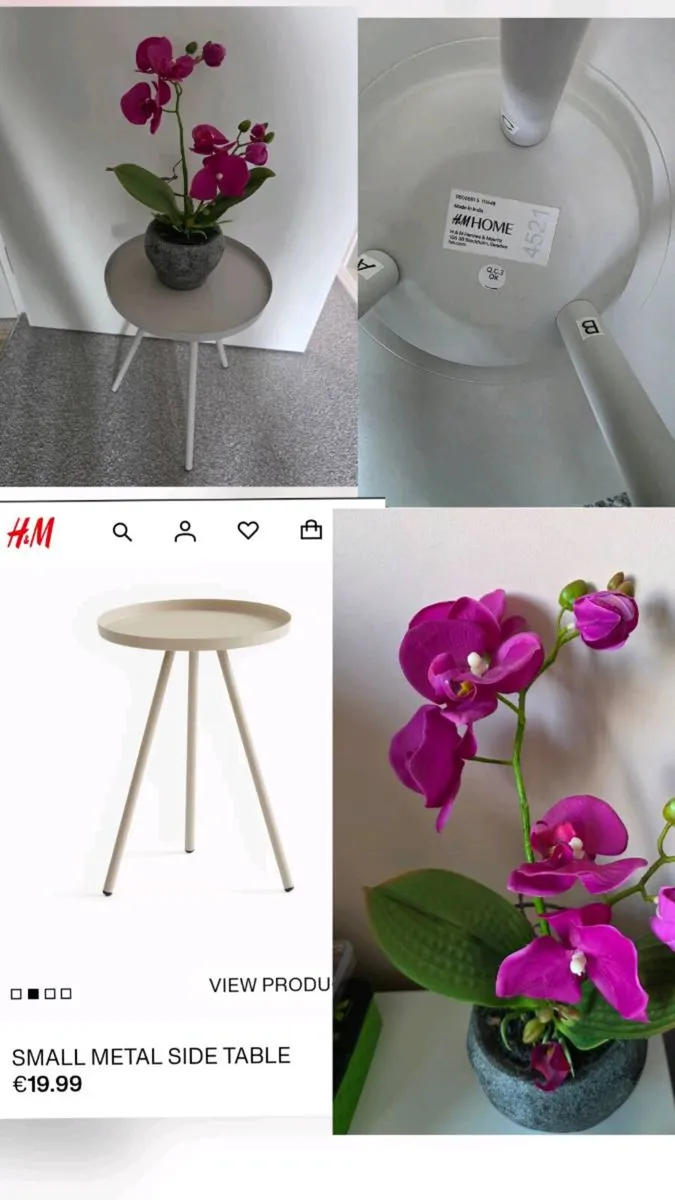 Metal side teble & Plant - Image 1