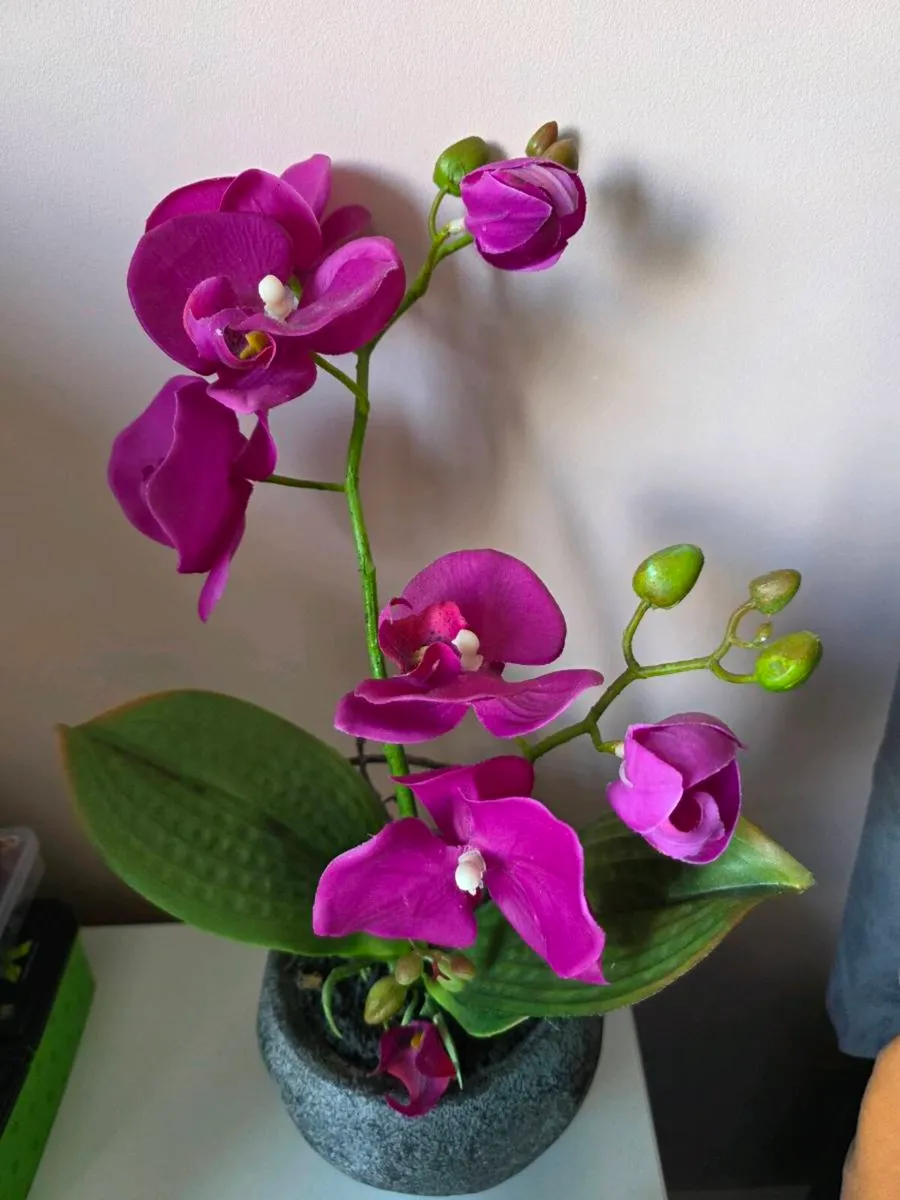 Metal side teble & Plant - Image 2