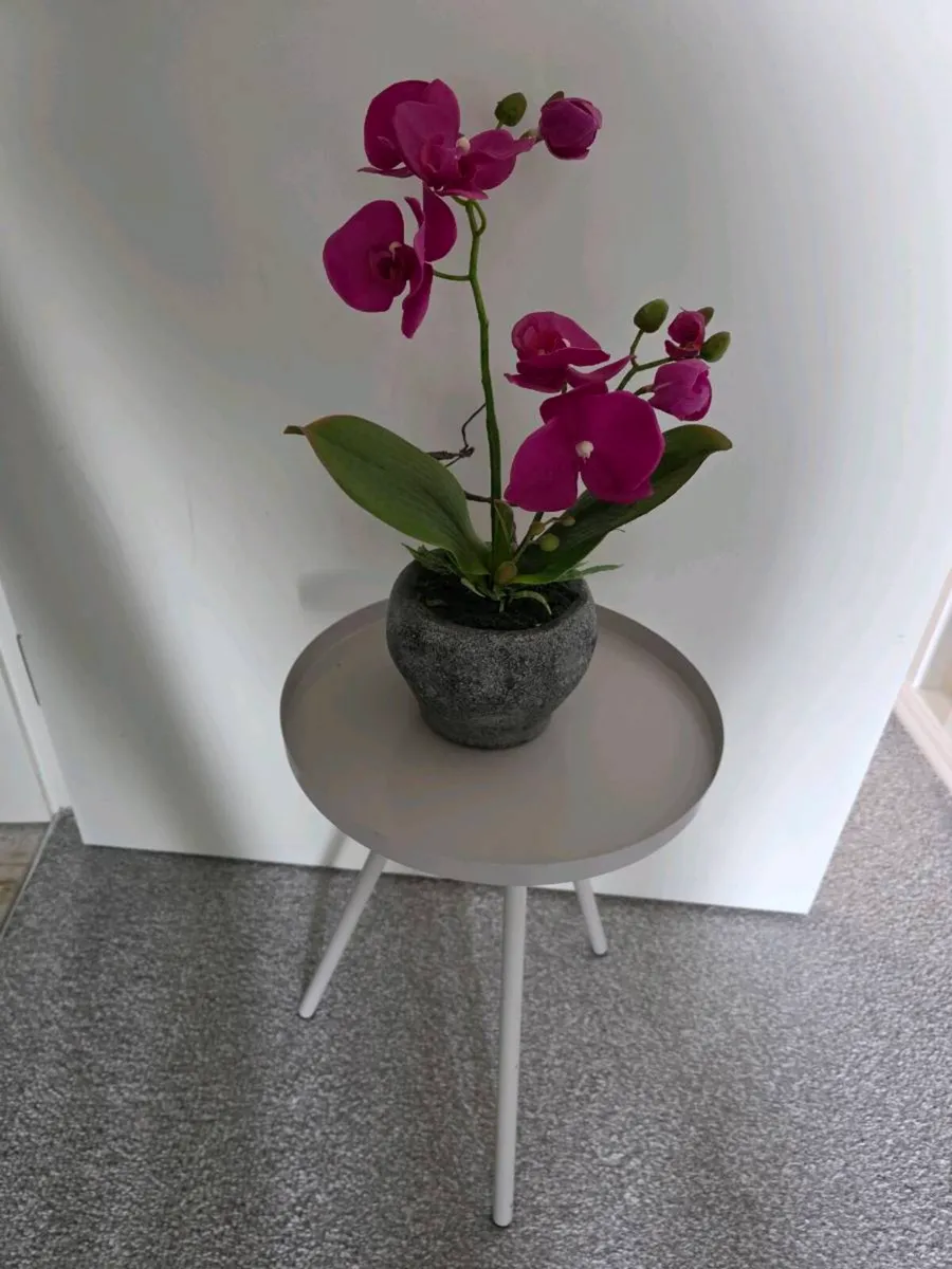 Metal side teble & Plant - Image 3