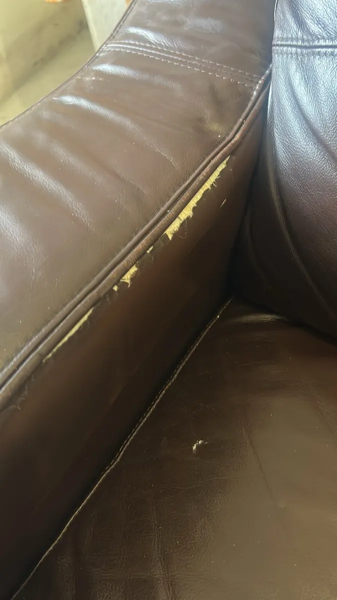 2 Seater Sofa - FREE TO TAKE - Image 3