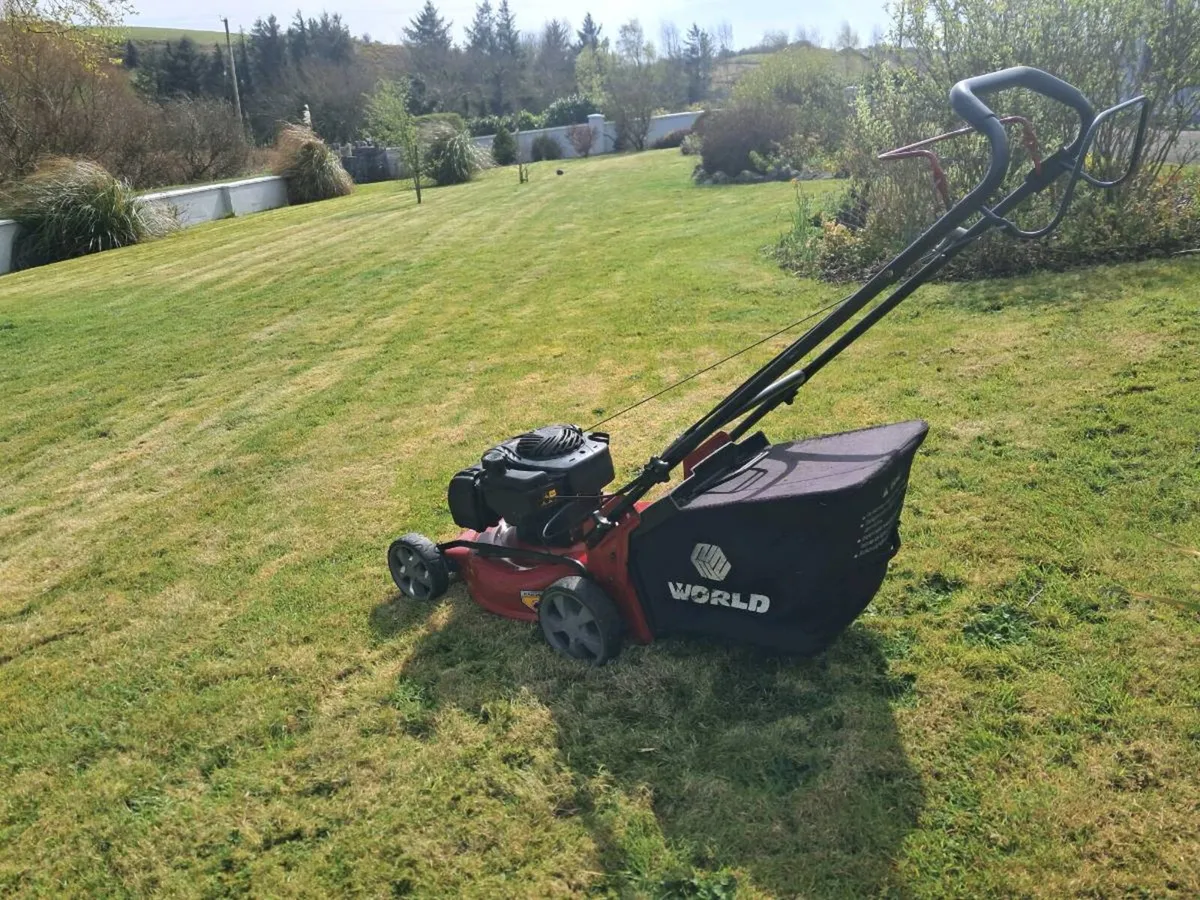 Lawnmower - Image 4