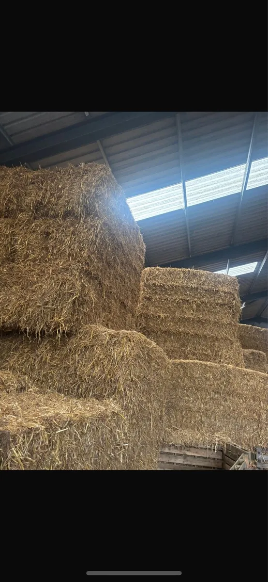 Chopped Oaten straw - Image 1