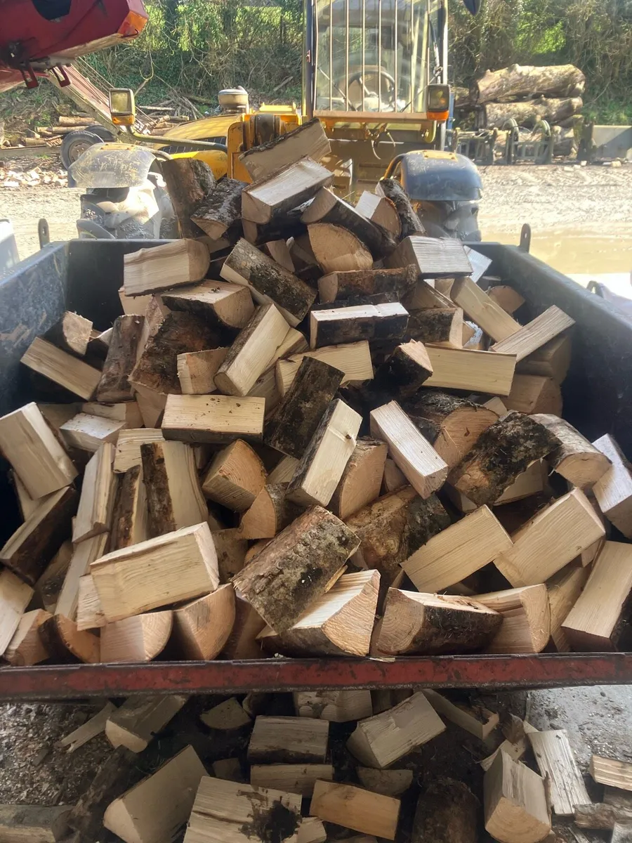 Firewood - Image 2